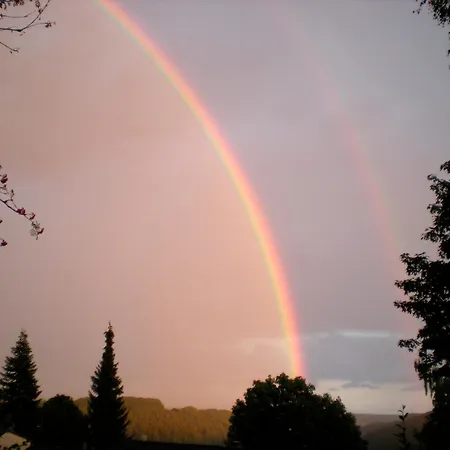 Eifelblick Ueber Dem